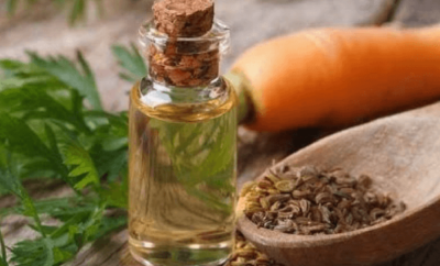 carrot seed oil