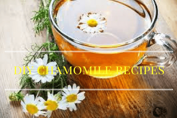 diy chamomile recipes