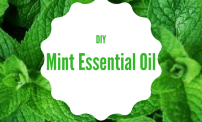 diy mint essential oil