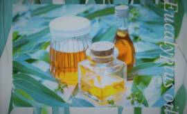 eucalyptus oil uses and side effects