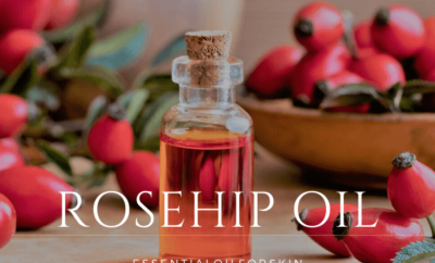 rosehip oil benefit for skin care routine