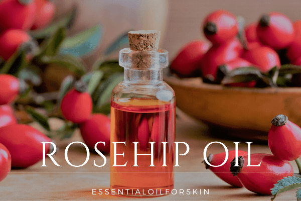 rosehip oil benefit for skin care routine